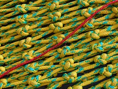 Social Network Analysis